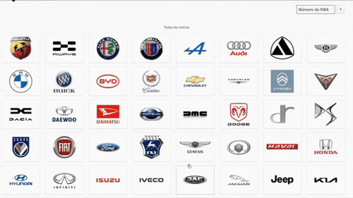 🔥Haynes Pro Online – Cuenta Profesional por 1 Año (COCHES Y CAMIONES)