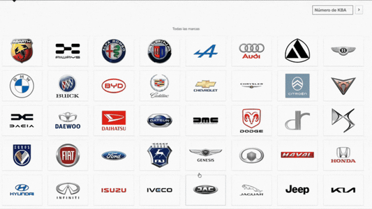 🔥Haynes Pro Online – Cuenta Profesional por 1 Año (COCHES Y CAMIONES)